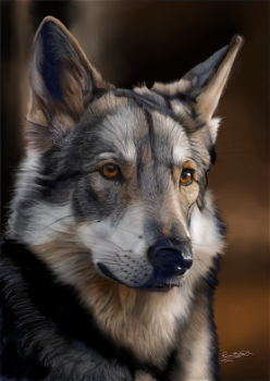 webwolf22