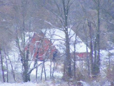 Whimsical winter wandering woods scene