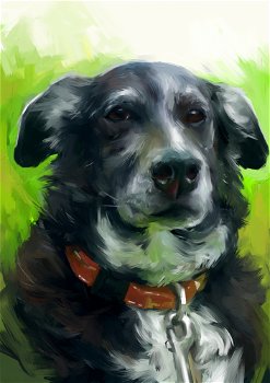 Katie