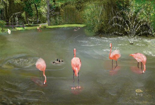 The Pink Flamingo Pond