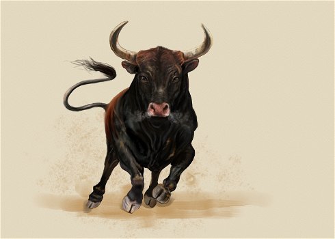 The raging bull