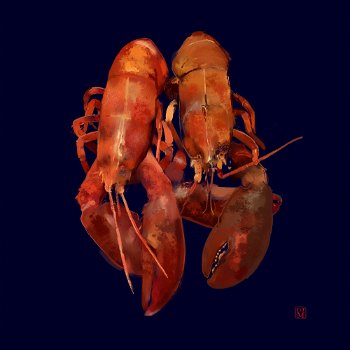 superdjm lobsters