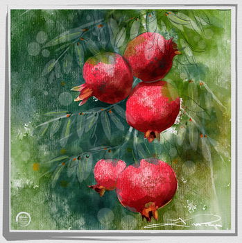 Fall Pomegranates