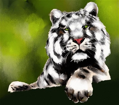 Siberian Tiger #1