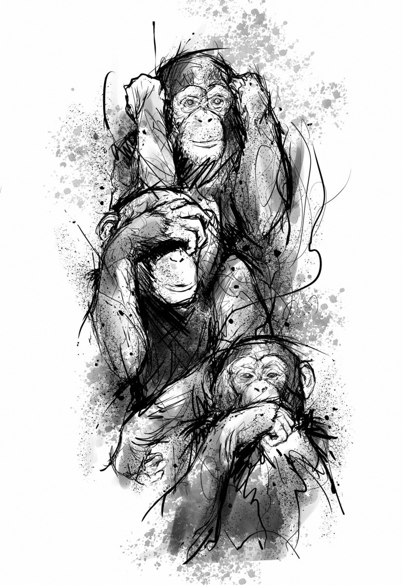 Monkeys by Bryan Sanchez M