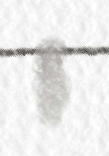 1739891347654.png